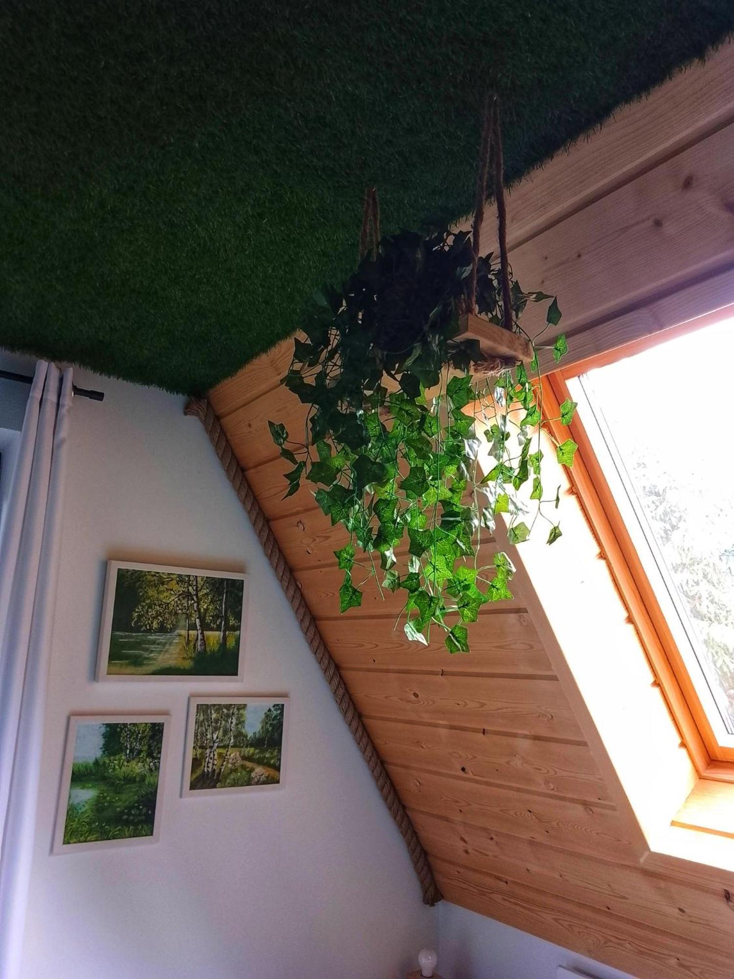 Apartmán Zaciszny Zakatek Zawoja Exteriér fotografie