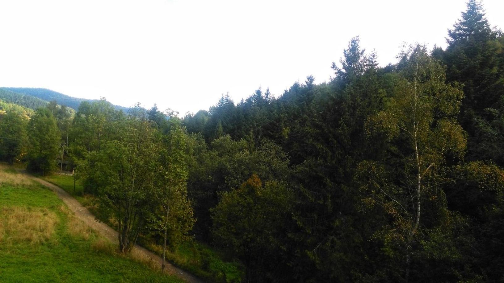 Apartmán Zaciszny Zakatek Zawoja Exteriér fotografie